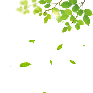 绿色卡通树叶飘落春天元素GIF树叶元素